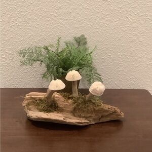 Driftwood Art, Driftwood and Coral Mushrooms, Mushroom Art, Coastal Art